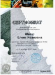 Shvets Olena
